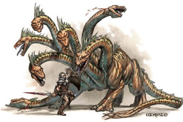 Kraken 23 at