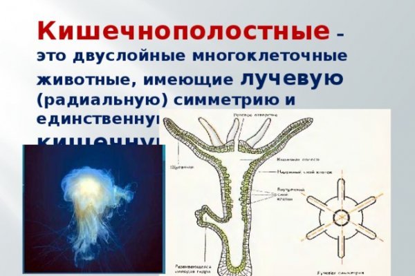 Кракен впн