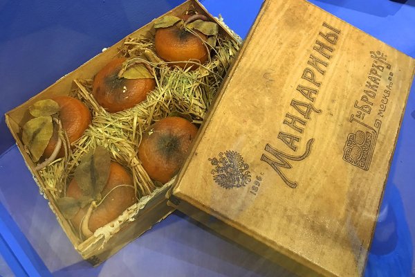 Кракен даркнет ссылка kraken link24 info