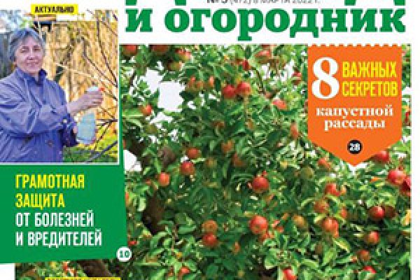 Кракен сайт krk market com