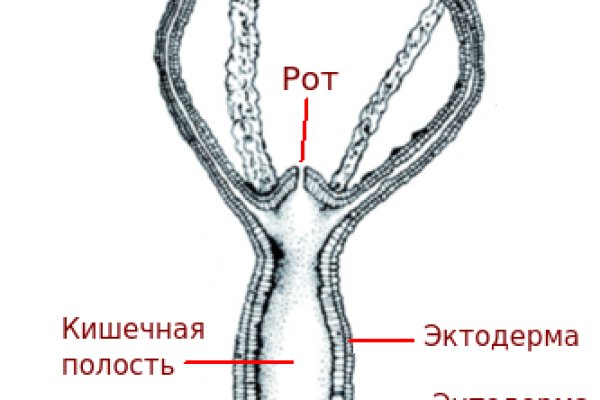 Kra31.cc