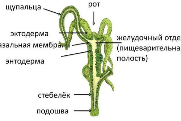 Кракен сайт вход официальный зеркало