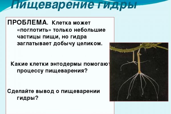 Кракен ссылка работает