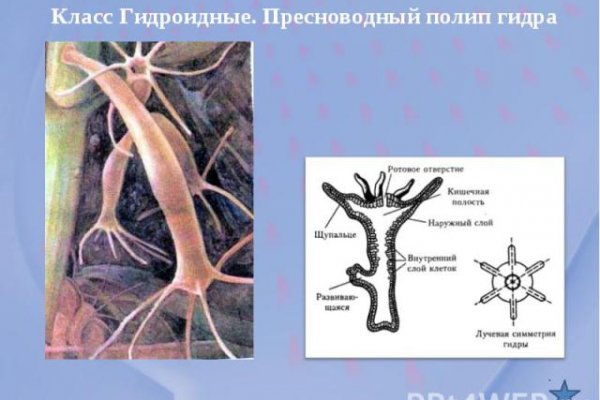 Кракен наркоман