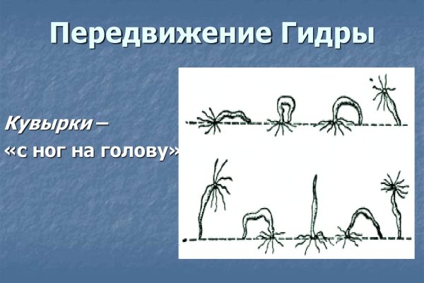 Сайт кракен через тор
