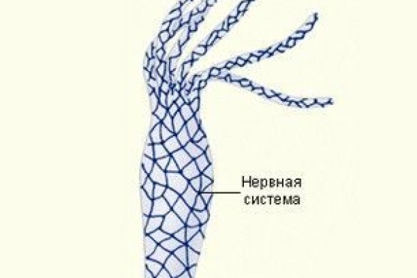 Как восстановить пароль на кракене