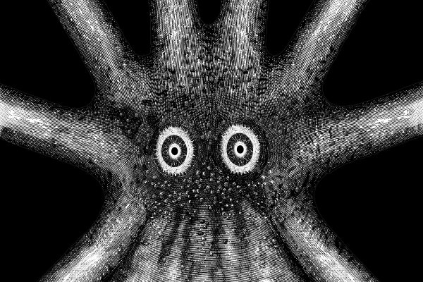 Kraken place