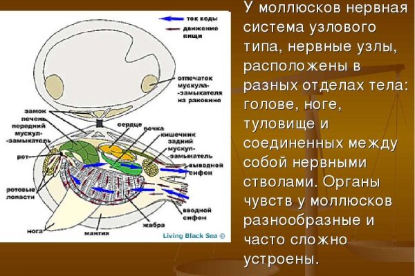 Ссылка на кракен kr2web in