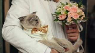Кракен правила площадки