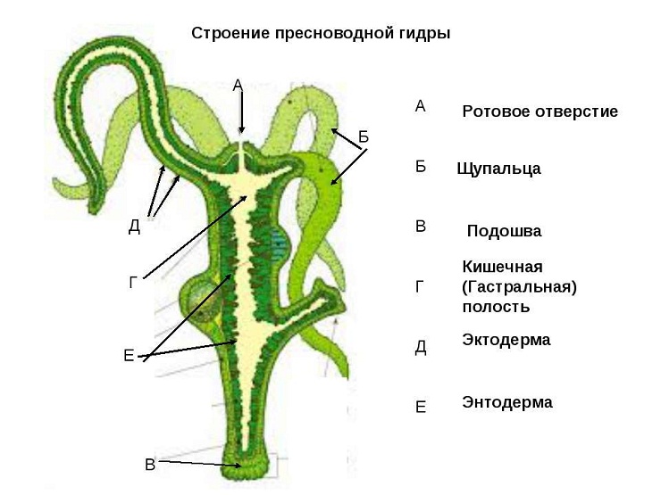 Кракен онион зеркало